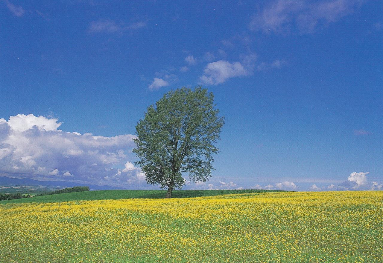 Furano La Terre Ξενοδοχείο Nakafurano Εξωτερικό φωτογραφία